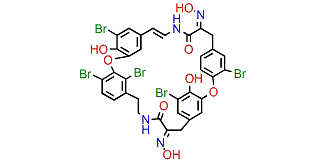 Bastadin 23